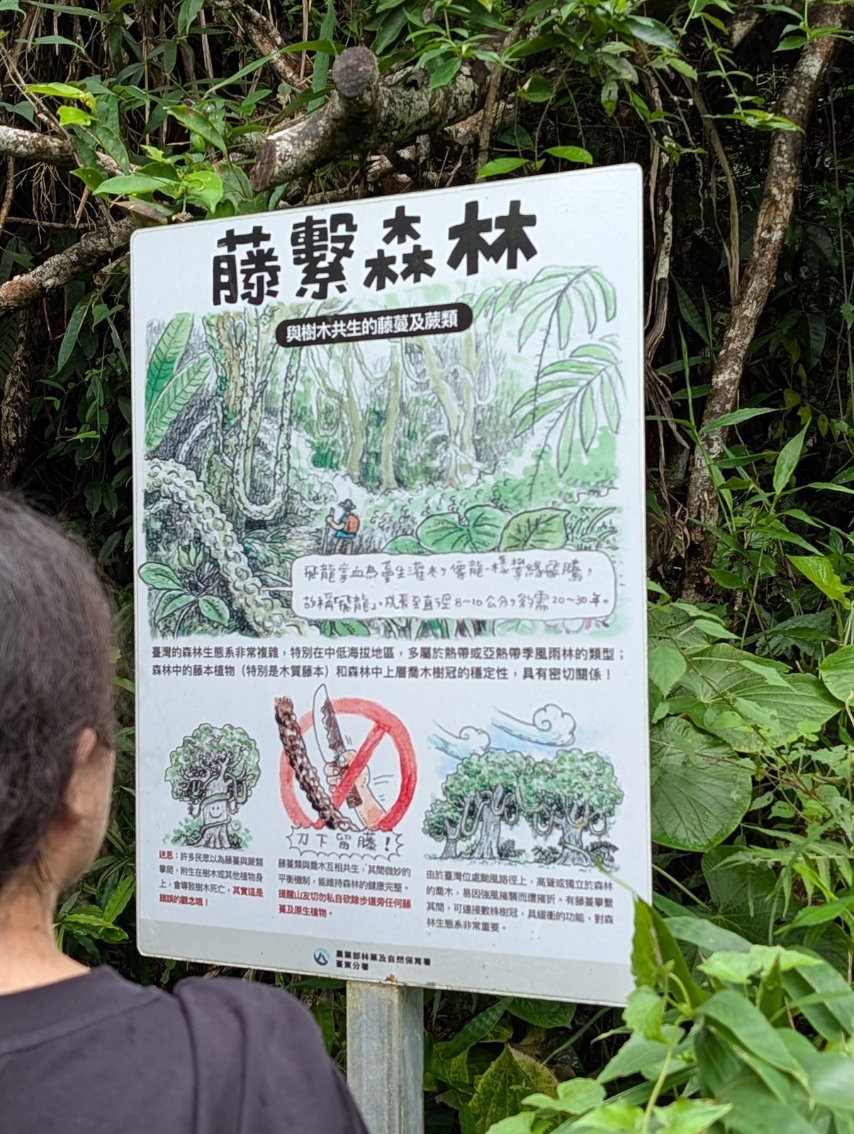 藤繫森林解說牌