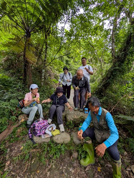 都蘭山綠光食物森林全景